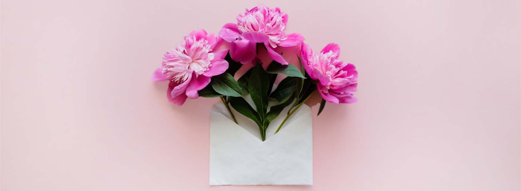 COSMO Hairshop Neuigkeiten Aktuelles Newsletter